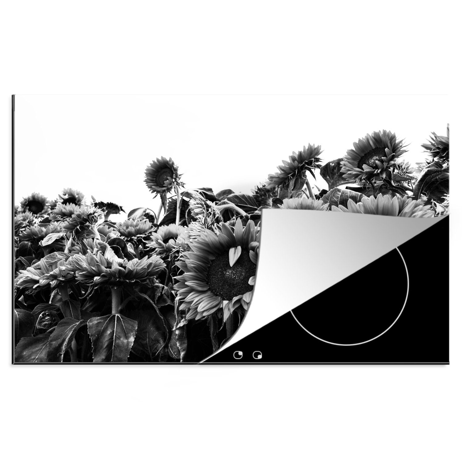 Induktionskochfeld Herdblende-/Abdeckplatte Schutz Holland weiß, cm, MuchoWow 81x52 für küche, und in Sonnenblumen tlg), die schwarz Ceranfeldabdeckung Vinyl, (1
