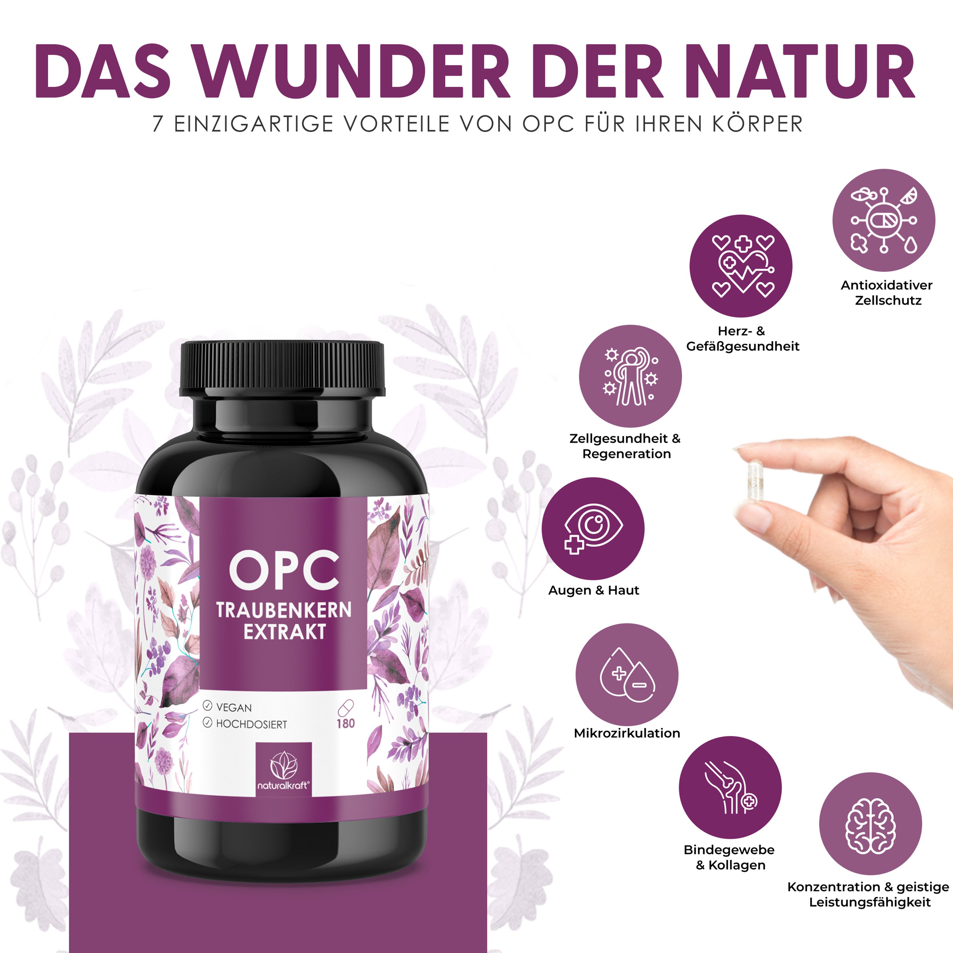 Naturalkraft OPC Traubenkernextrakt 1250 mg – 180 vegane Kapseln, hochdosiert Kapseln, 133 g
