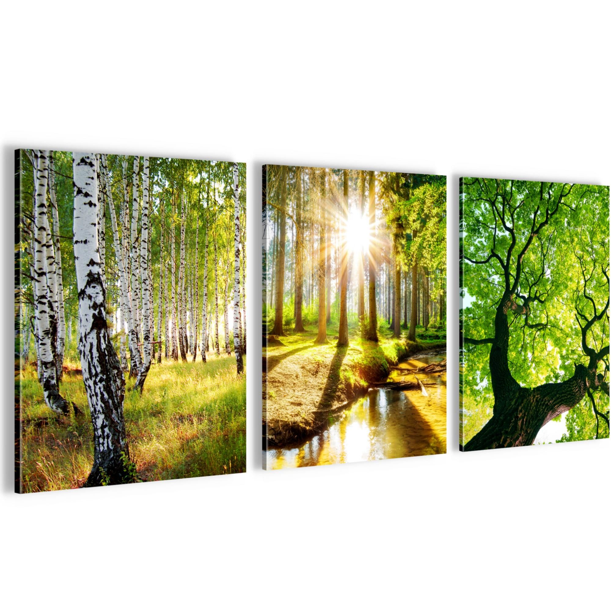 Novart Wandbild Wald Natur Bilder Set 3 Teilig Wohnzimmer Schlafzimmer Deko, Wald