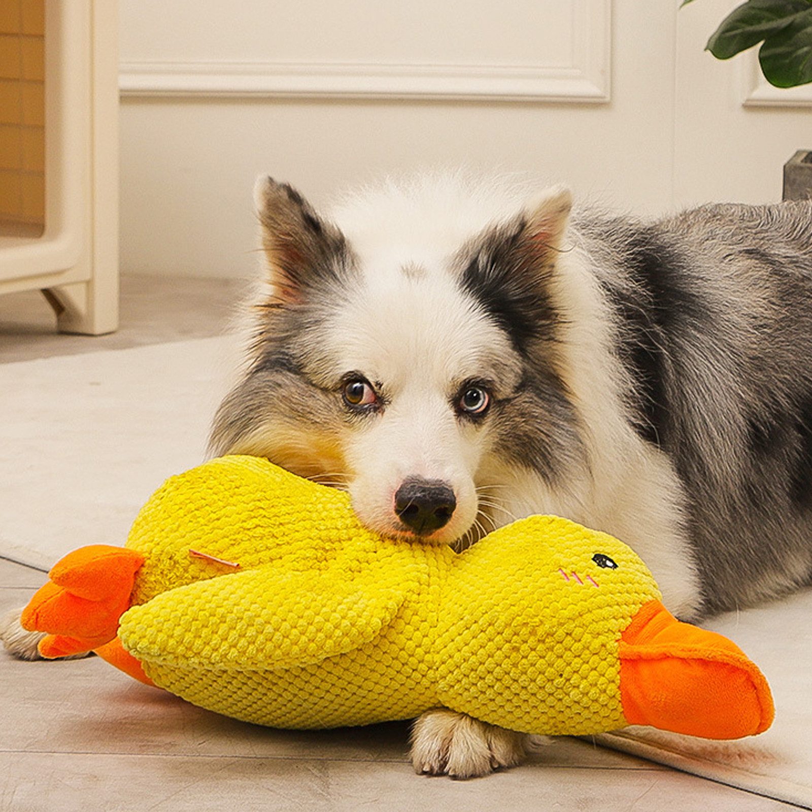 OKWISH Tierkuscheltier Ente Hundespielzeug Plüsch Anti-Stress günstig online kaufen
