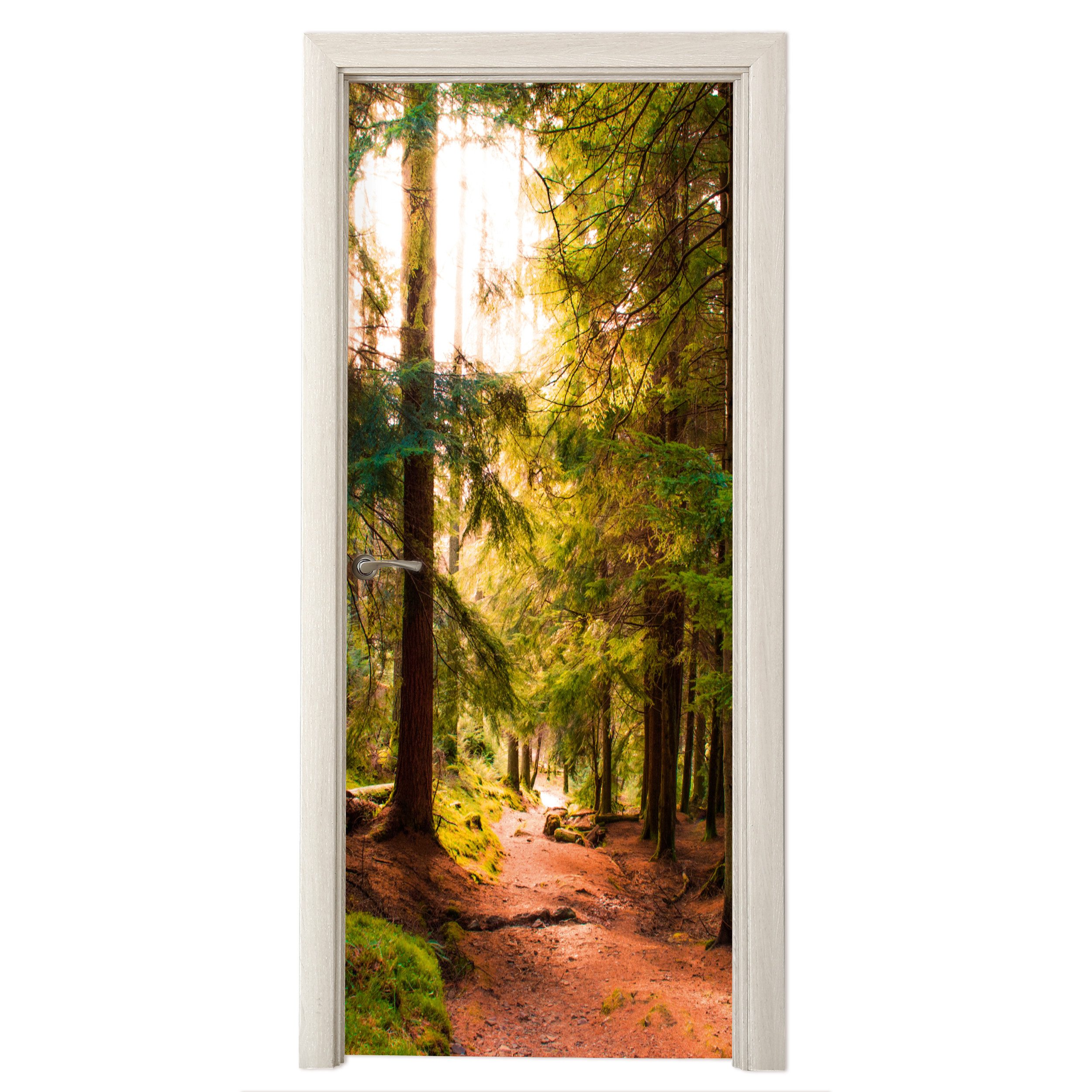 MuchoWow Türtapete Wald - Weg - Bäume - Grün - Sonne - Natur, Matt, bedruckt, (1 St), Selbstklebende Tapete, Folie für Möbel, 75x205 cm