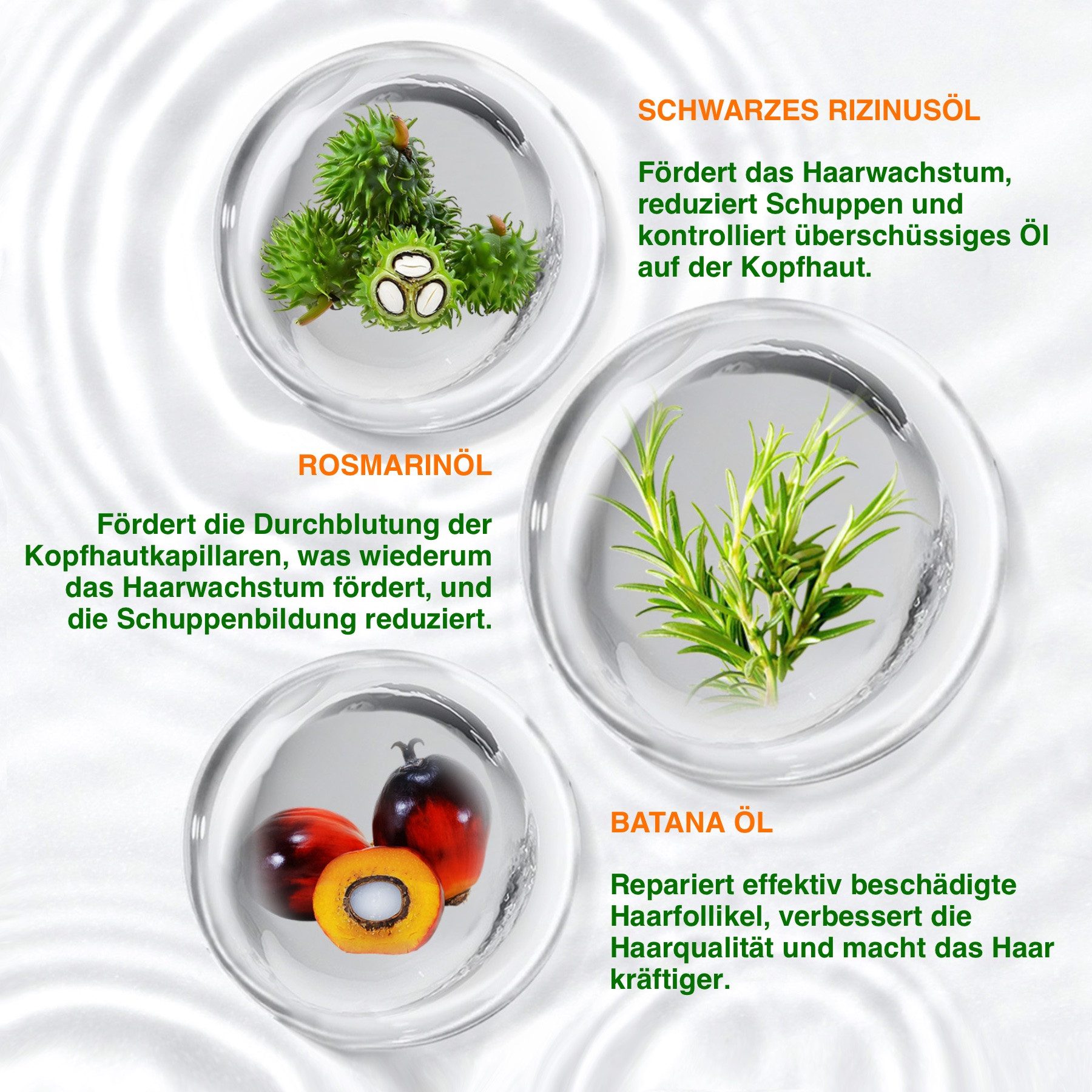 ALIVER Haarpflege-Set Shampoo Conditioner Haaröl mit Biotin Rosmarin Rizinus Batana, Alkoholfrei, Ammoniakfrei, Enthält Mineralien, Enthält Vitamine