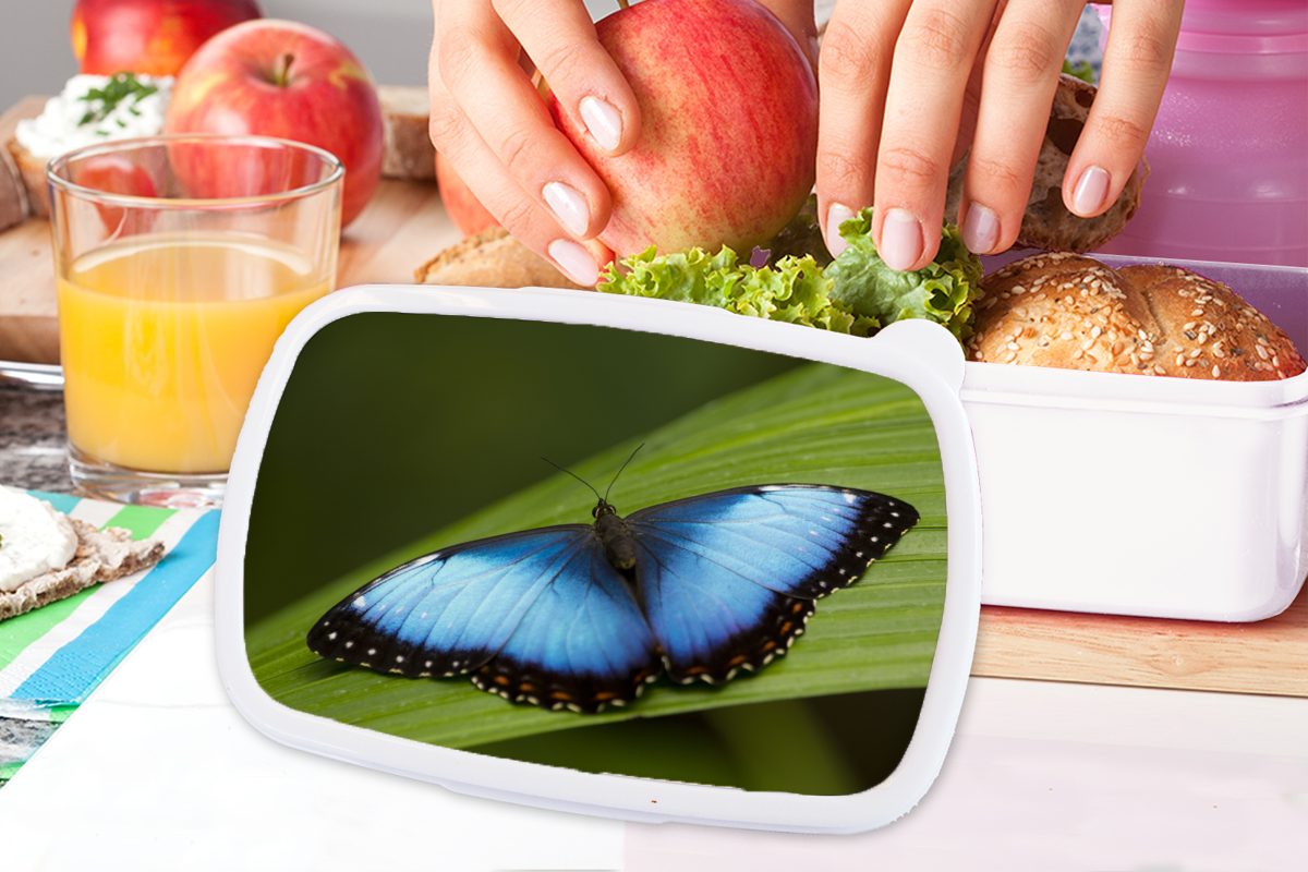 für (2-tlg), Blatt, MuchoWow Schmetterling Brotbox Erwachsene, Mädchen Brotdose, für weiß Lunchbox Kunststoff, Jungs auf Morpho und und Kinder