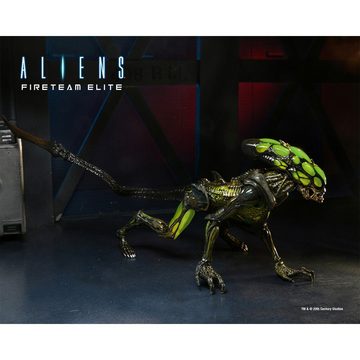 NECA Actionfigur Burster Alien - Aliens Fireteam Elite