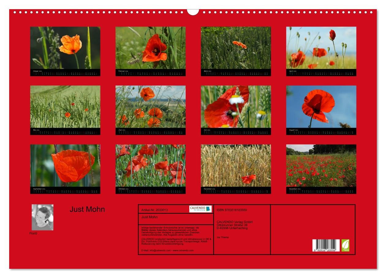 Thumbnail - CALVENDO Wandkalender Just Mohn (Wandkalender 2026 DIN A2 quer), CALVENDO Monatskalender