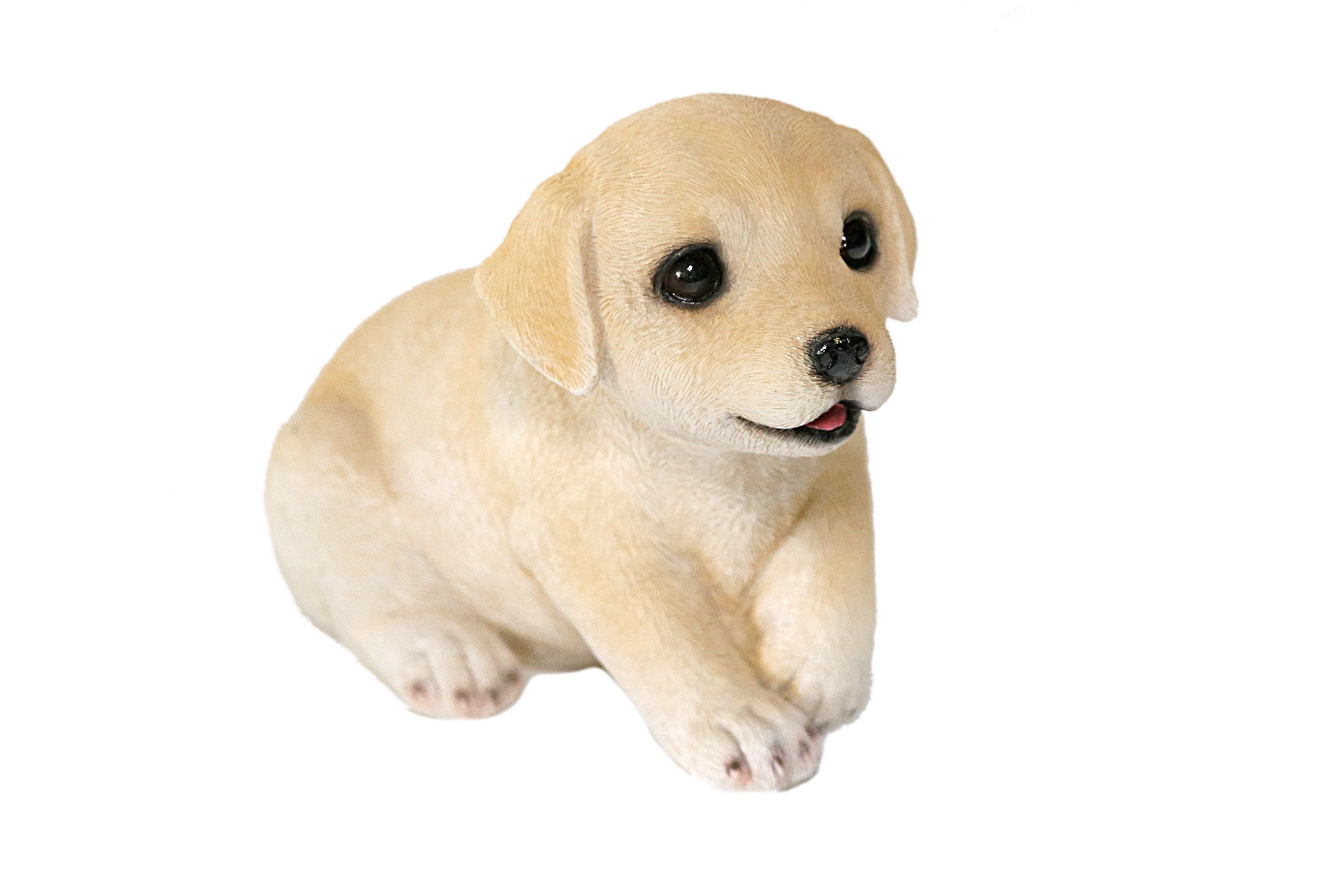 Jänig Tierfigur Dekofigur Casa Tierfigur Labrador, by aus Collection Polyresin,