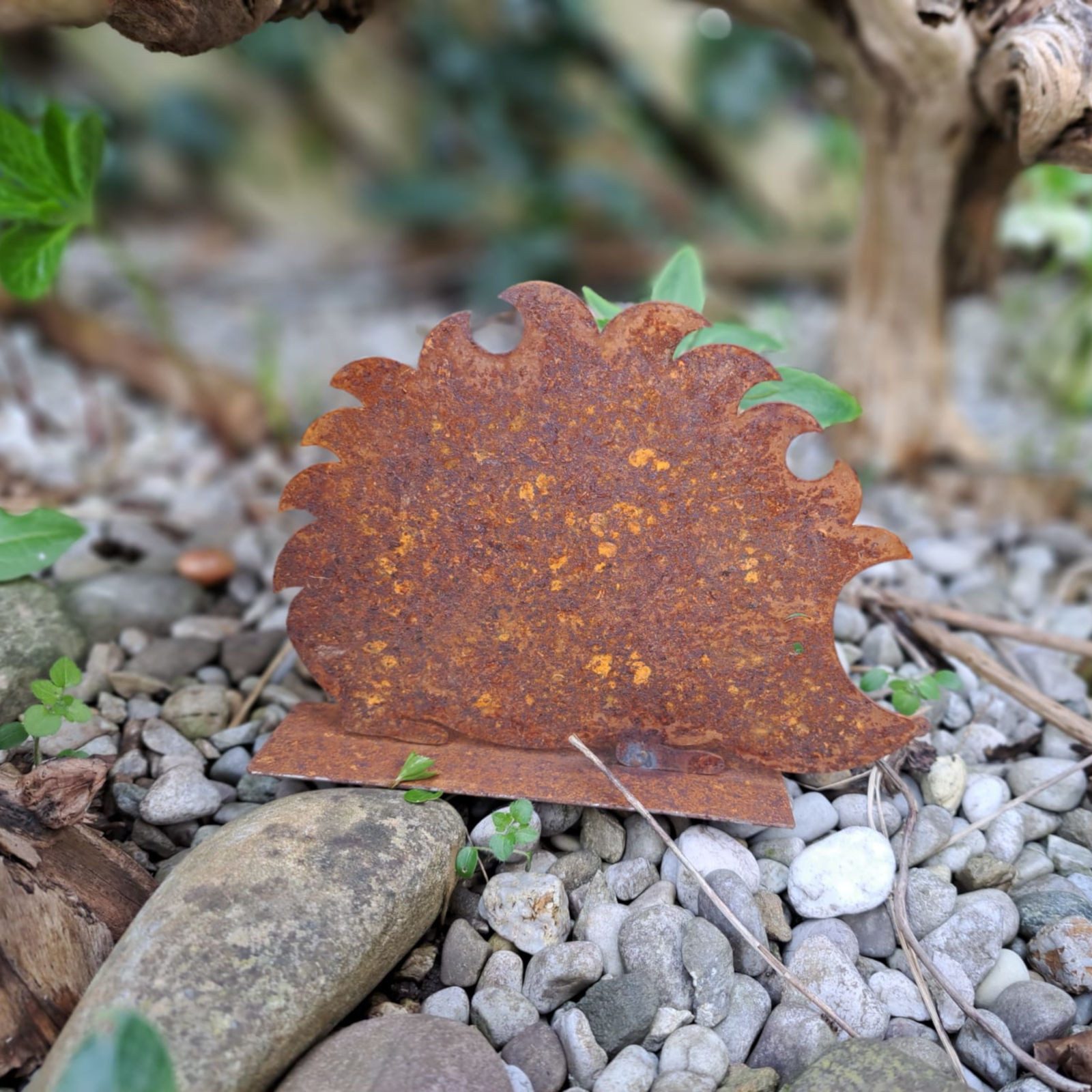 ZGM Dekofigur Rost Deko Igel Franzl, naturgetreue Gartendekoration – Bild 3 von 5
