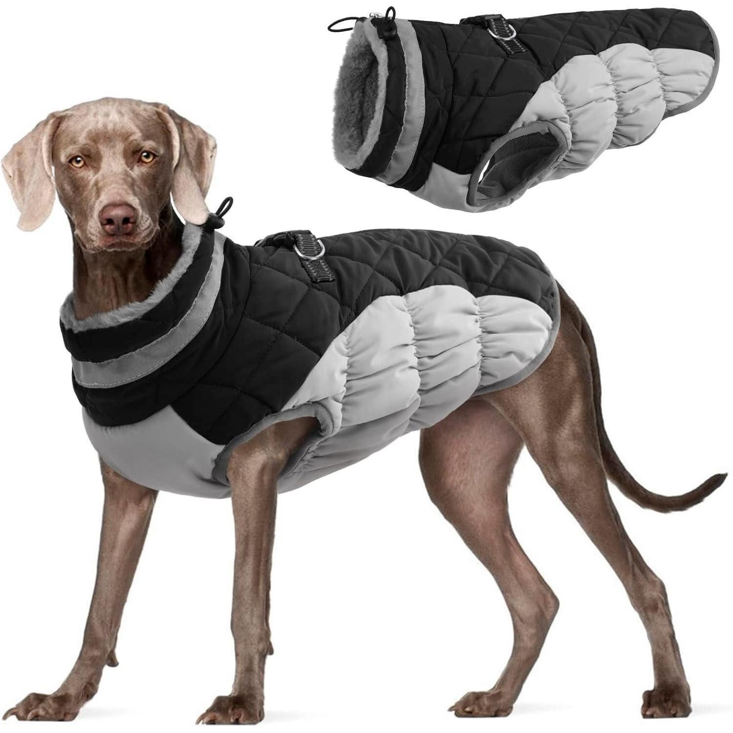 LuxusKollektion Hunde-Halsband Hundejacke wasserdicht Geschirr große Hunde günstig online kaufen