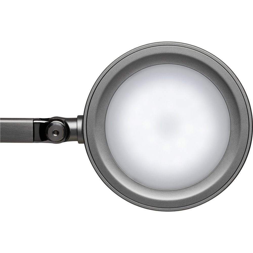 G) - Tischleuchte W 8205095 F (A EEK: MAULGrace LED-Tischlampe Silber Maul 6 Maul