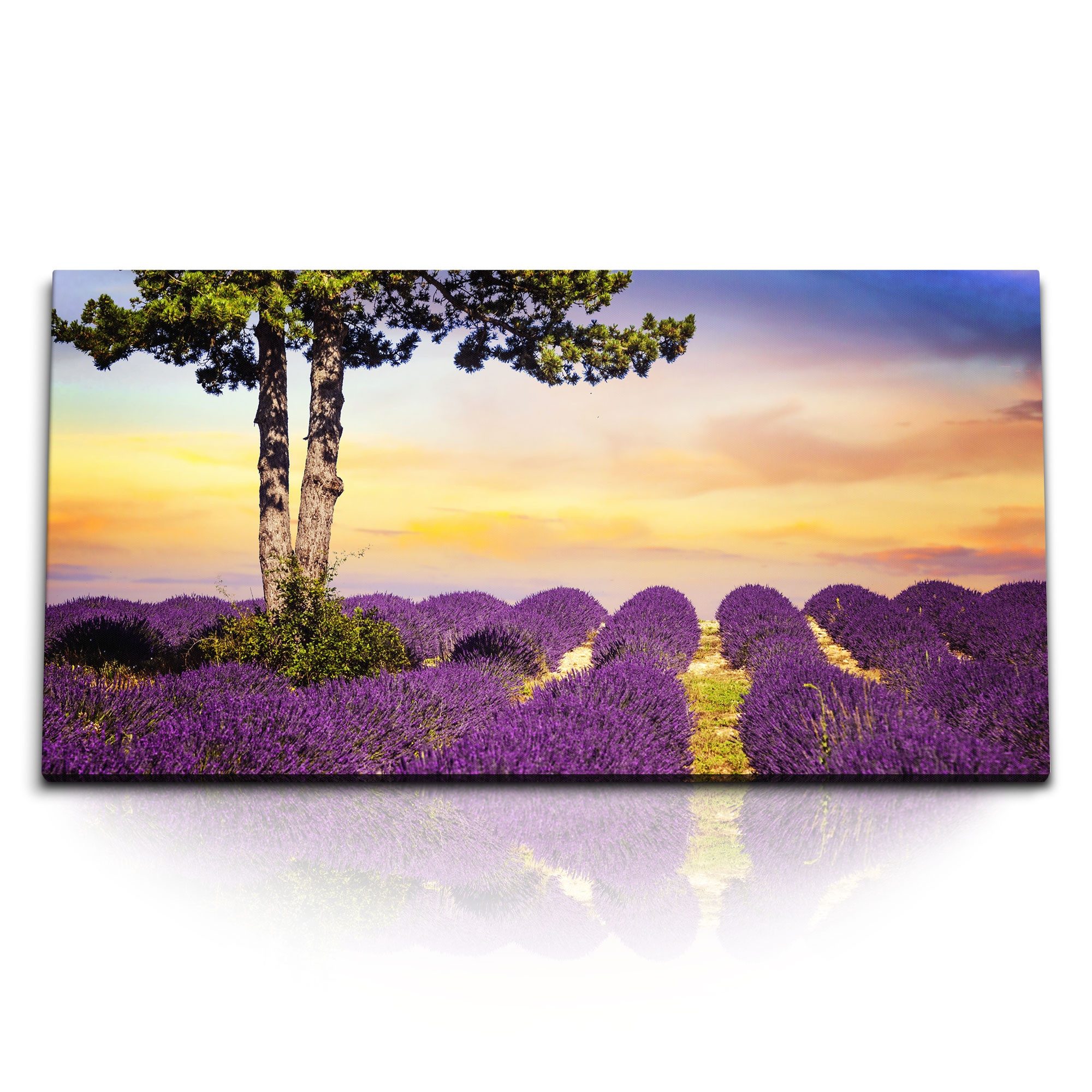 Leinwandbild Kunstdruck Bilder 120x60cm Lavendel Lavendelfeld Malerisch Landschaft