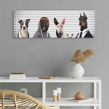 Home affaire Deco-Panel Most Wanted Dogs