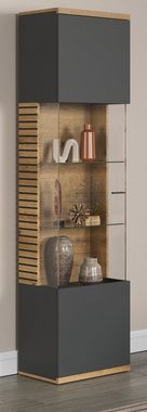 Furn.Design Vitrine Norris (Standvitrine in Eiche und grau, 51 x 205 cm) mit Soft-Close-Funktion