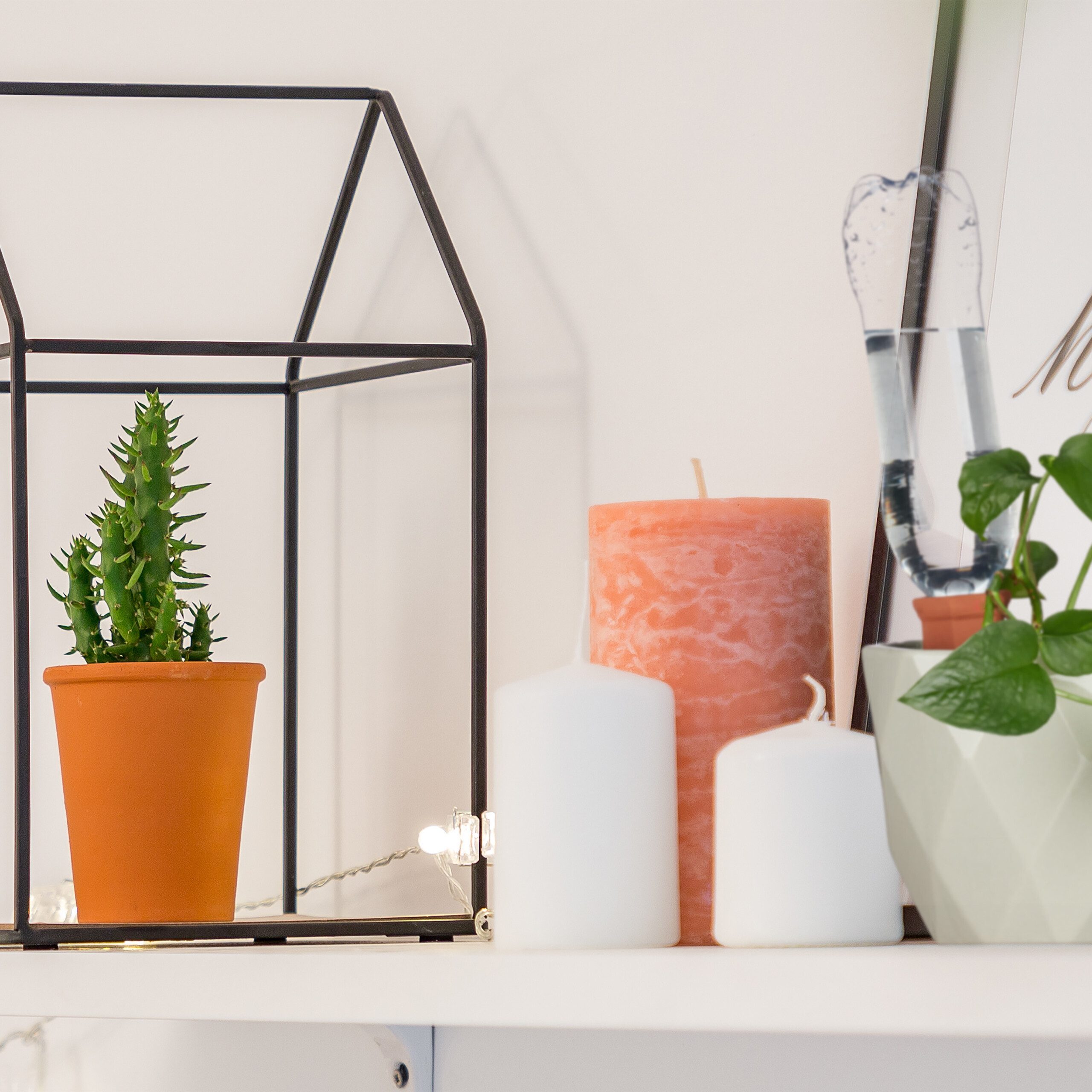 relaxdays Tropfer 12 x Tonkegel Bewässerung