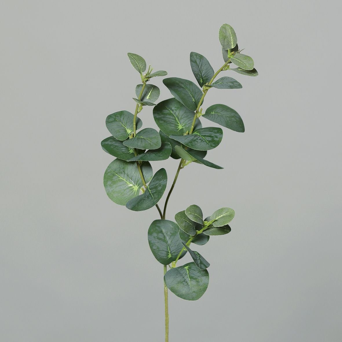 Kunstpflanze DPI Eukalyptuszweig x3 grün 64 cm, DPI