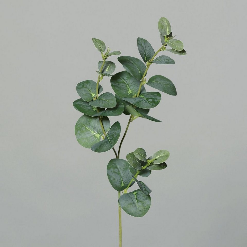 Kunstpflanze DPI Eukalyptuszweig x3 grün 64 cm, DPI