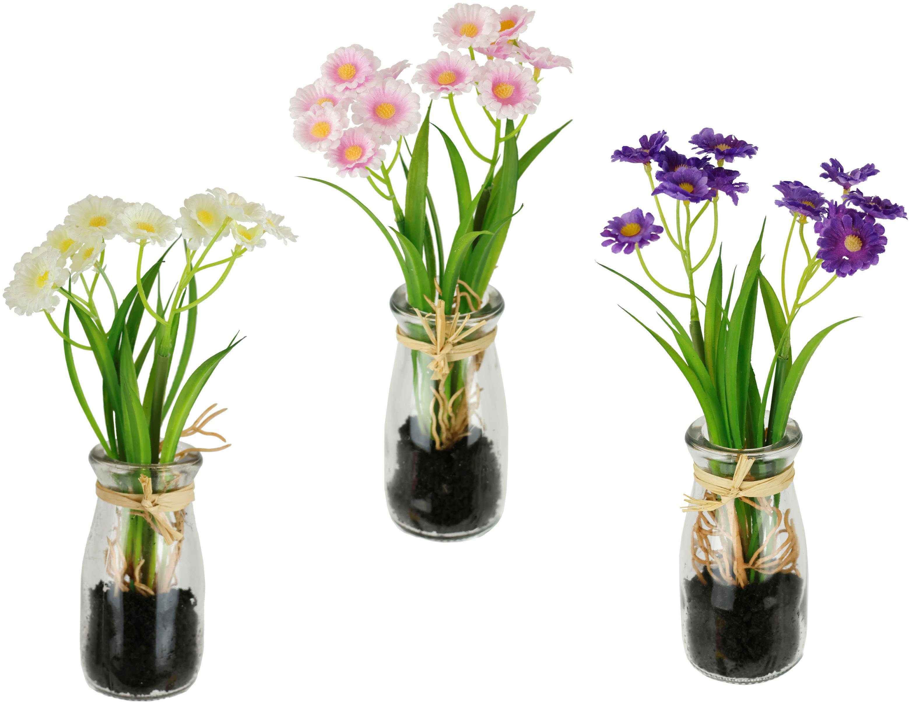 Kunstblume Margeriten, I.GE.A., Höhe 21 cm günstig online kaufen