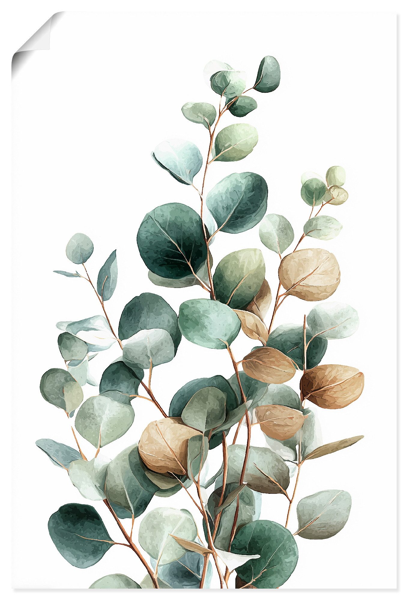Artland Wandbild Eukalyptus, Blätterbilder (1 St), als Alubild, Leinwandbild, Poster, Wandaufkleber in verschied. Größen