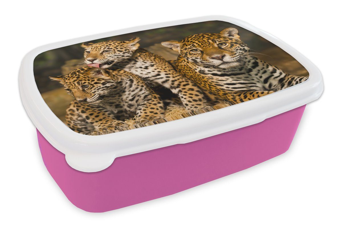 MuchoWow Lunchbox Leopard - Wilde Tiere - Natur, Kunststoff, (2-tlg), Brotbox für Erwachsene, Brotdose Kinder, Snackbox, Mädchen, Kunststoff rosa