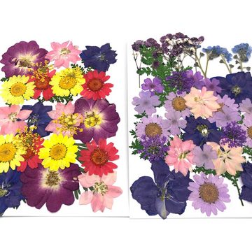 Trockenblume Gepresste Blumen und Blüten in vielen Farben - Lila, Kunstharz.Art