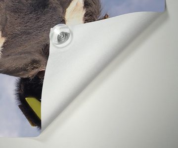 Sonnenschutz Lustige Kuh auf der Weide mit herausgestreckter Zunge, Wallario, blickdicht, mit Saugnäpfen, wiederablösbar und wiederverwendbar