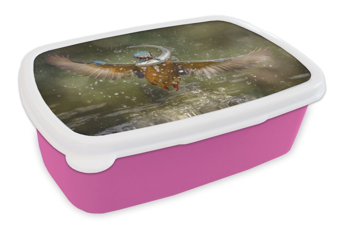 Wasser, Brotdose Brotbox Erwachsene, Kunststoff Mädchen, Fisch für rosa MuchoWow Lunchbox - (2-tlg), Kunststoff, Eisvogel Kinder, Snackbox, -