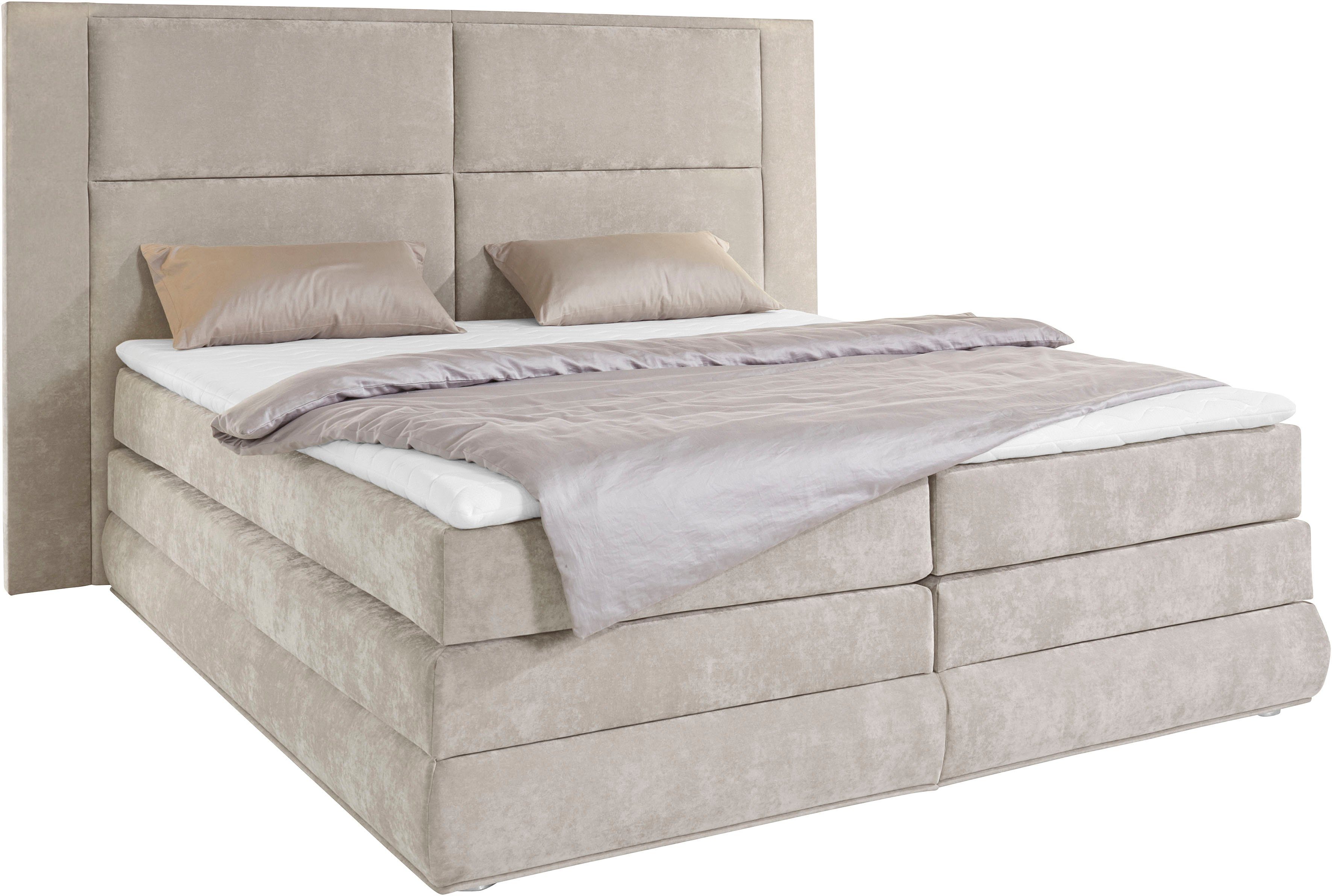 COLLECTION AB Boxspringbett Copenhagen, inklusive Bettkasten, günstig online kaufen