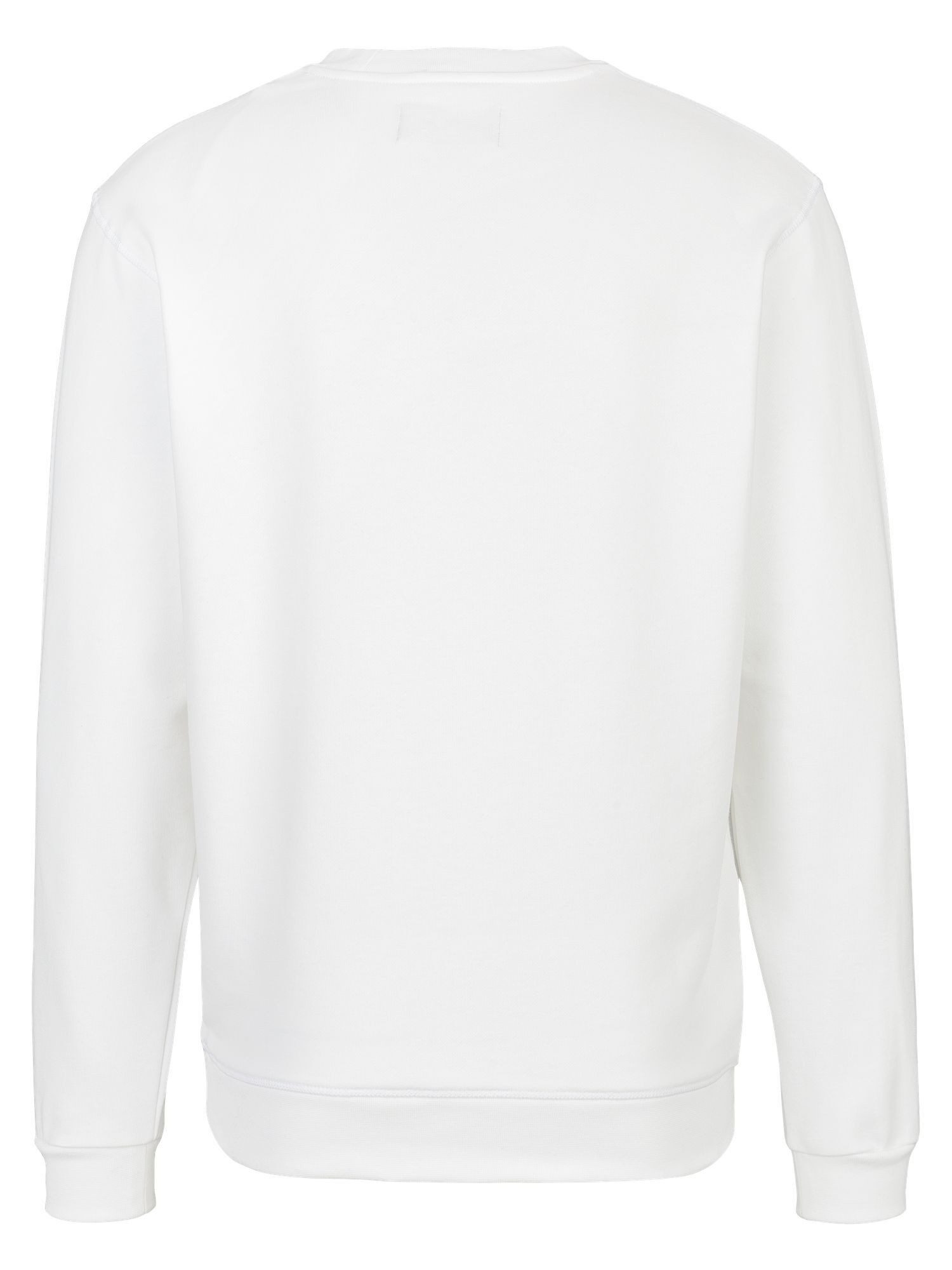 Replay Sweatshirt FRENCH TERRY COTTON-POLY günstig online kaufen