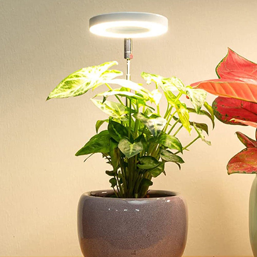 Rosnek Pflanzenlampe Vollspektrum, hohe Helligkeit, Timer, dimmbar, für Zimmerpflanzen, Halogen, Sonnenlicht, Höhe einstellbar Sonnenlicht/USB