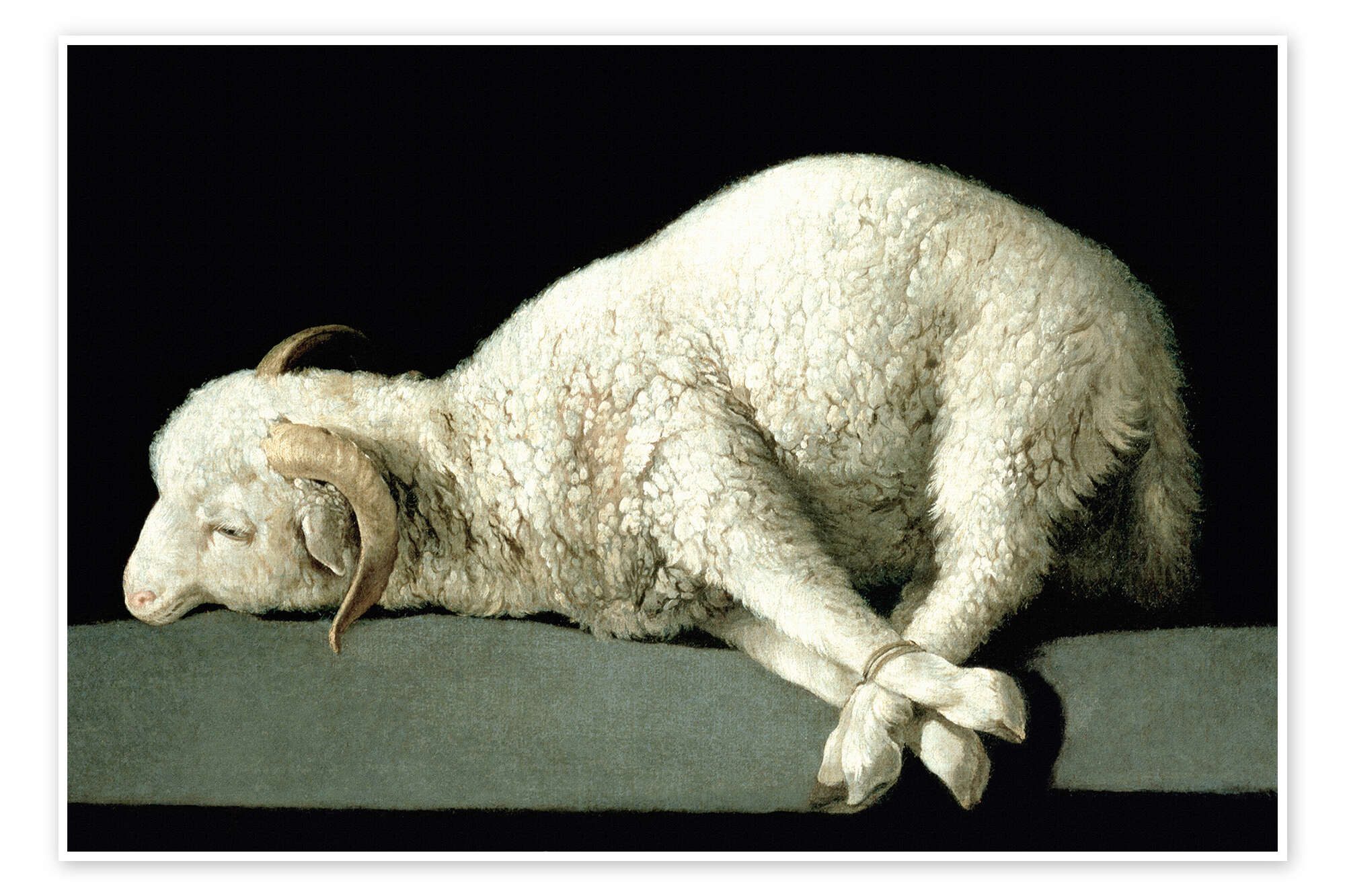 Posterlounge Wandbild Agnus Dei, Francisco de Zurbaran, erhältlich als Poster, Leinwandbild, Wandsticker oder Acrylglasbild
