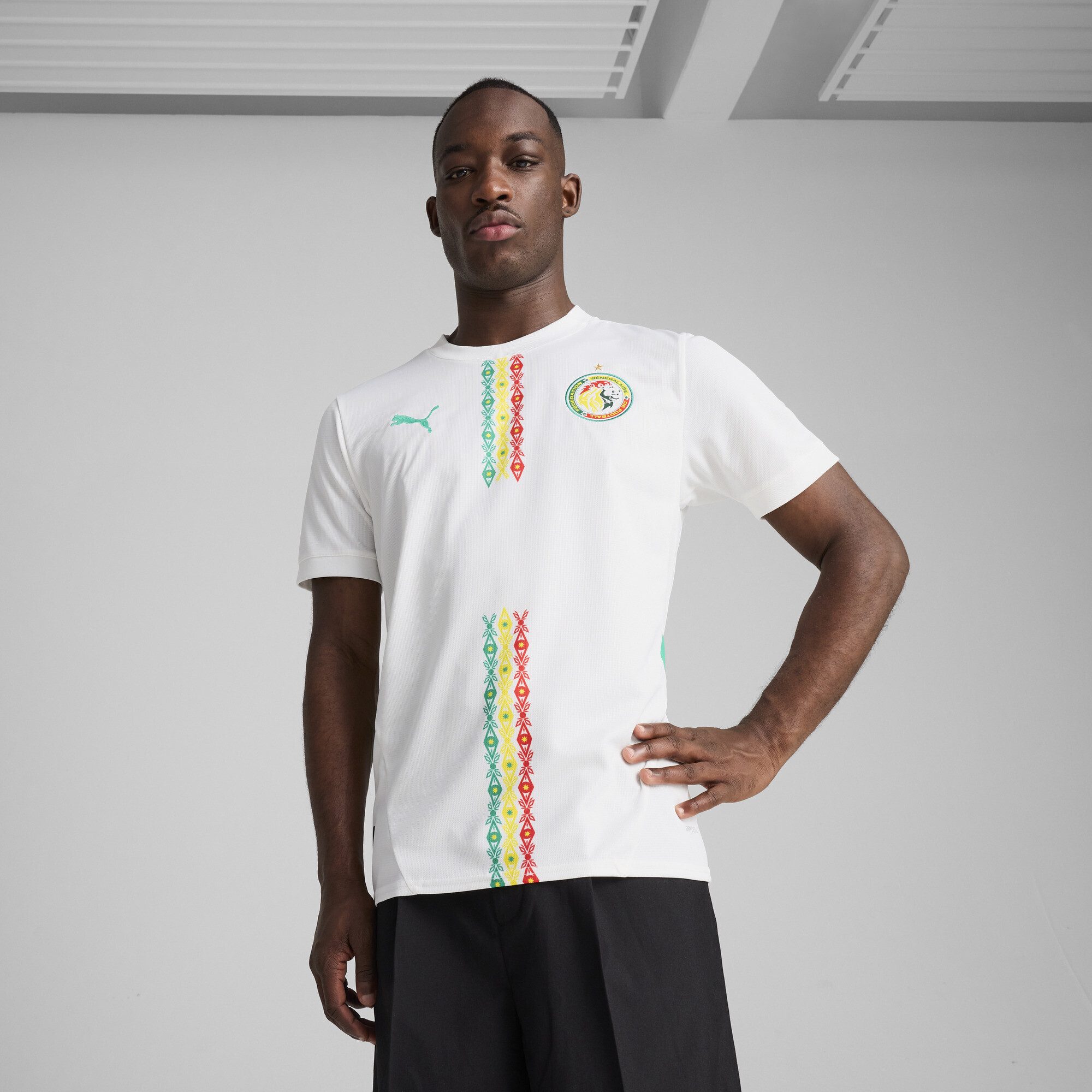 PUMA Trainingsshirt Senegal 2025 Heimtrikot Herren günstig online kaufen