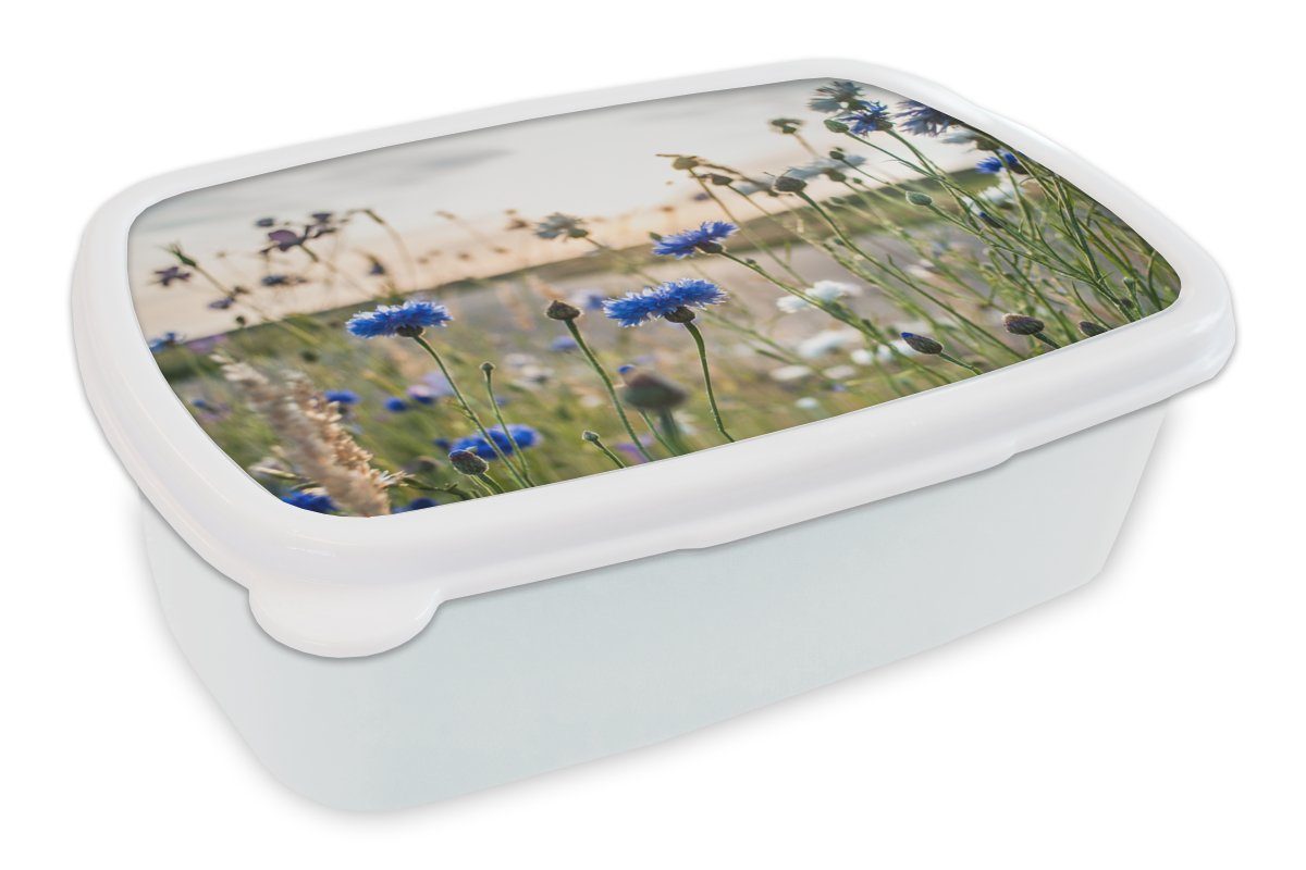 MuchoWow Lunchbox Blumen - Sommer - Kornblume - Blau - Sonne - Wolken, Kunststoff, (2-tlg), Brotbox für Kinder und Erwachsene, Brotdose, für Jungs und Mädchen weiß