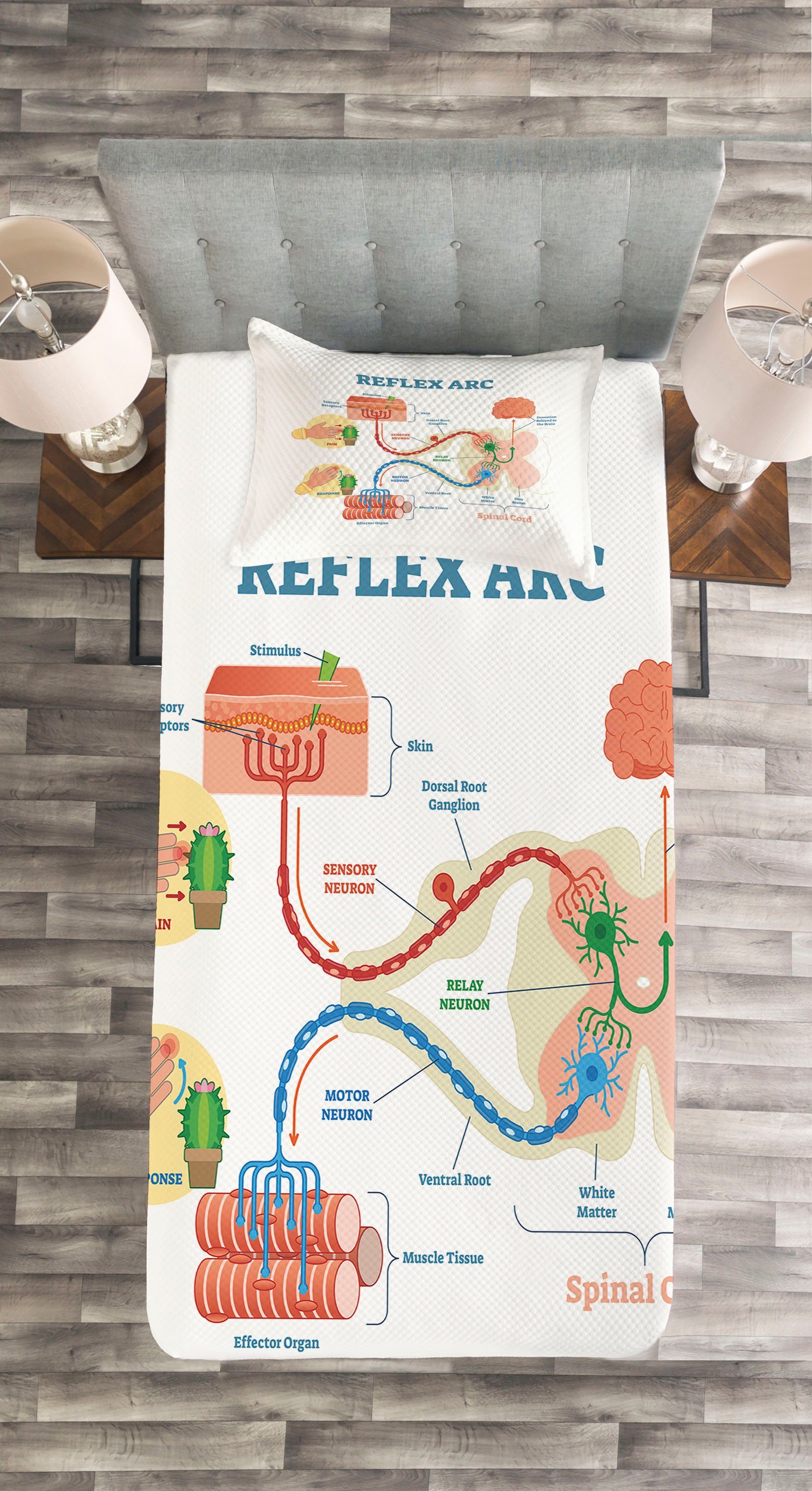 Abakuhaus, Tagesdecke Kissenbezügen Biologie Anatomie Waschbar, Reflex Arc Wissenschaft Set mit