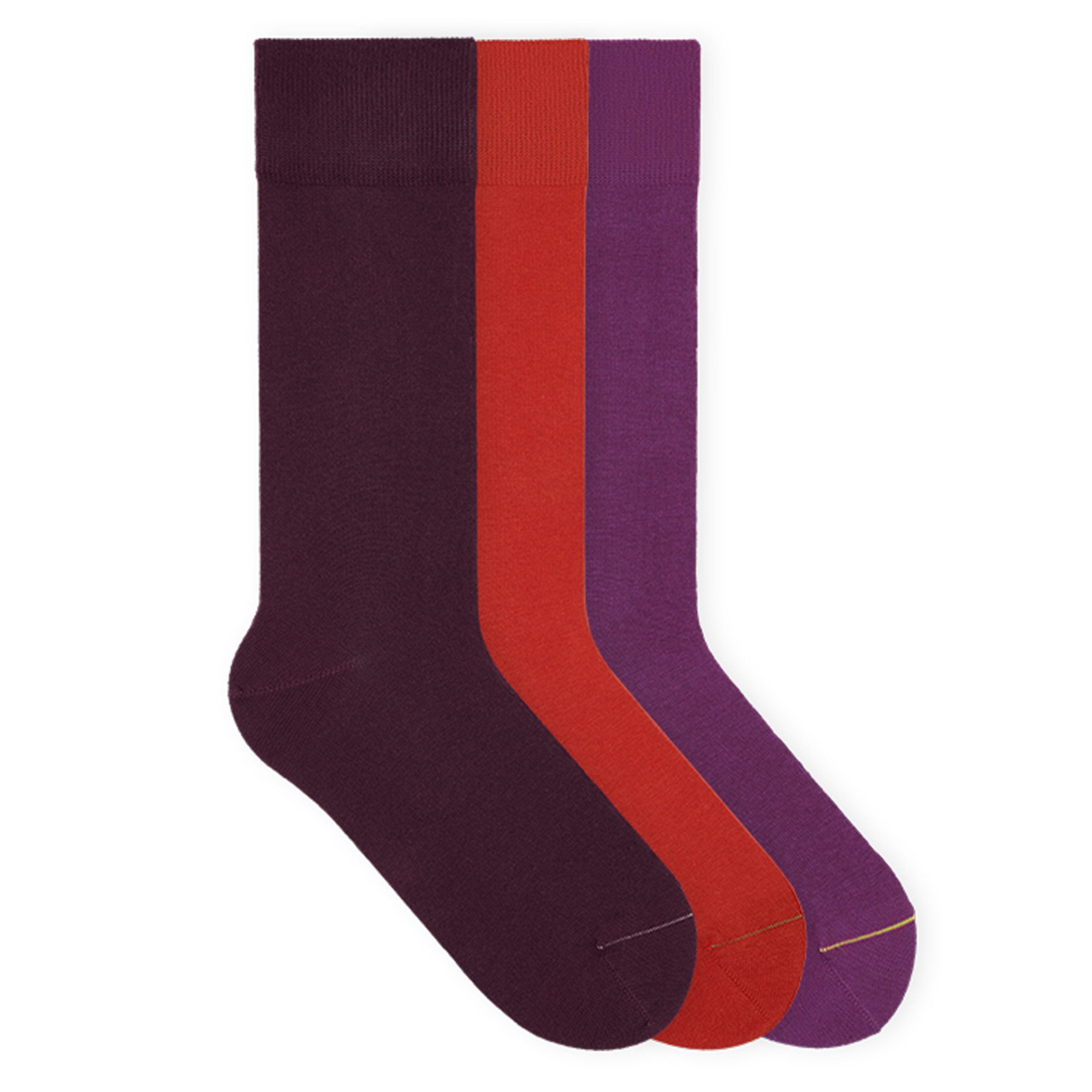 Socken SIGNATURE Set Bio-Baumwolle 35-46 Unisex