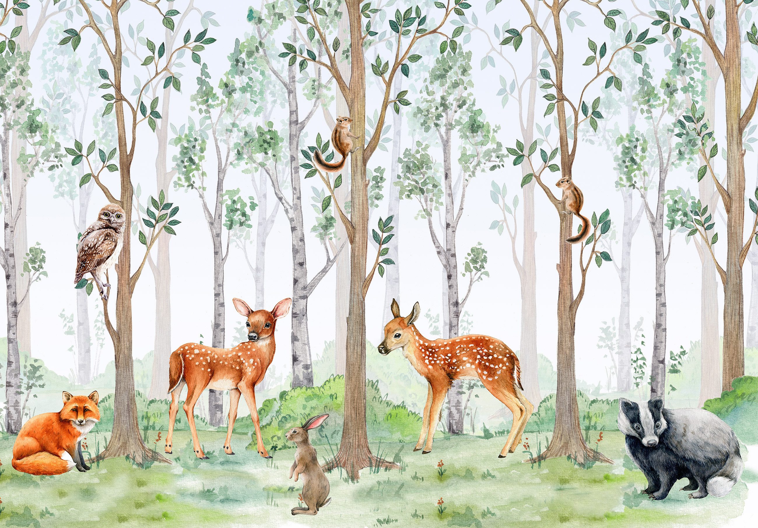 Wallarena Fototapete Kinderzimmer Mädchen Jungen Wald günstig online kaufen