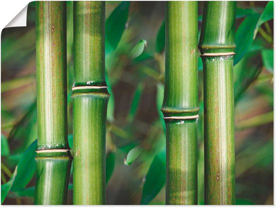 Artland Wandbild »Bambus Stamm«, Gräser (1 Stück), in vielen Größen & Produktarten -Leinwandbild, Poster, Wandaufkleber / Wandtattoo auch für Badezimmer geeignet