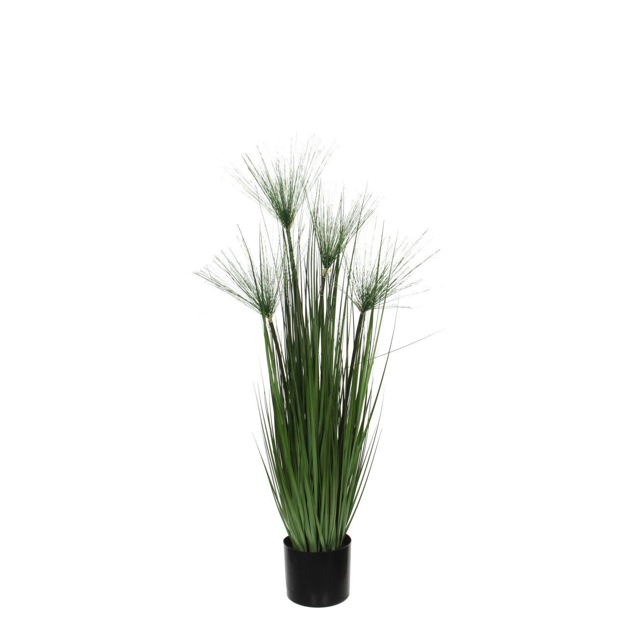 Kunstpflanze Mica Kunstpflanze Papyrus grün im Topf 102 x 15 cm