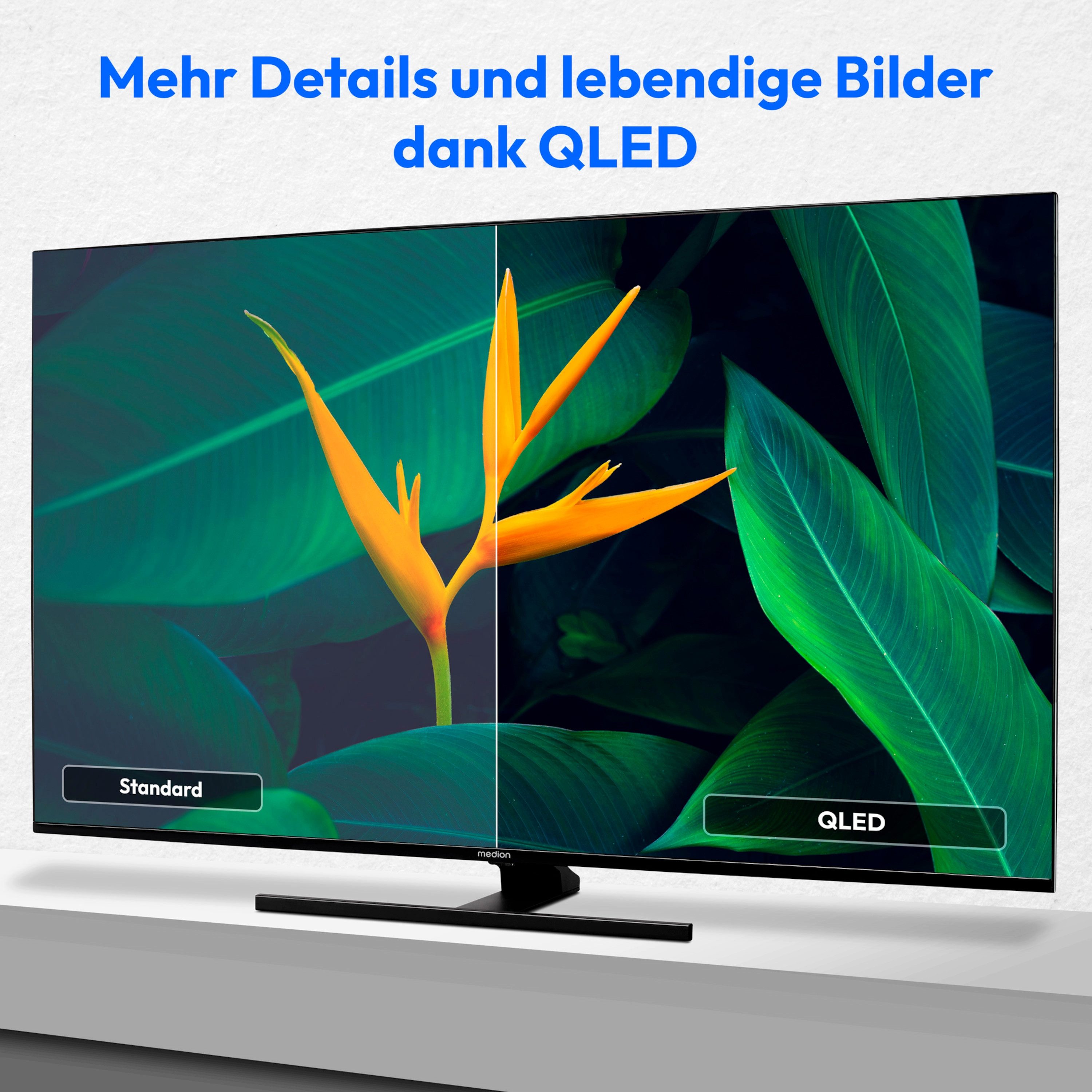 Medion® MD30987 LCD-LED Fernseher (138....
