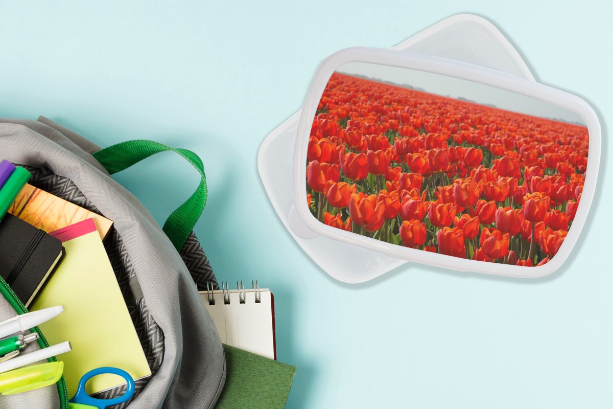 Tulpen, und und Jungs Brotdose, roten nur (2-tlg), MuchoWow Feld Lunchbox Ein mit Brotbox weiß Kinder Erwachsene, Mädchen Kunststoff, für großes für