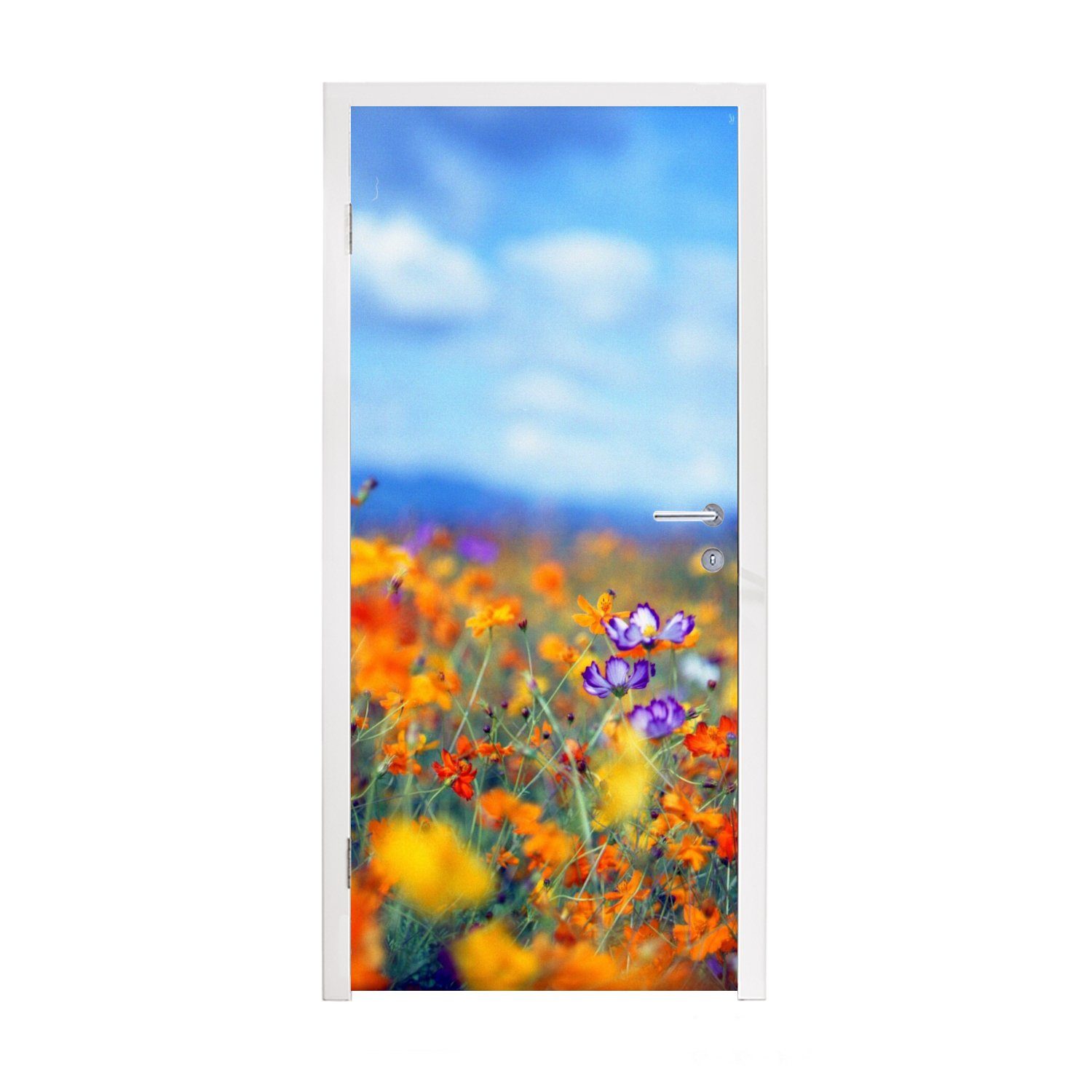 MuchoWow Türtapete Kosmos - Farben - Frühling, Matt, bedruckt, (1 St), Fototapete für Tür, Türaufkleber, 75x205 cm