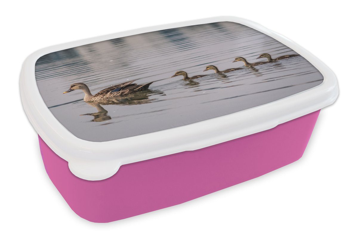 MuchoWow Lunchbox Ente - Wasser - Vogel - Braun, Kunststoff, (2-tlg), Brotbox für Erwachsene, Brotdose Kinder, Snackbox, Mädchen, Kunststoff rosa