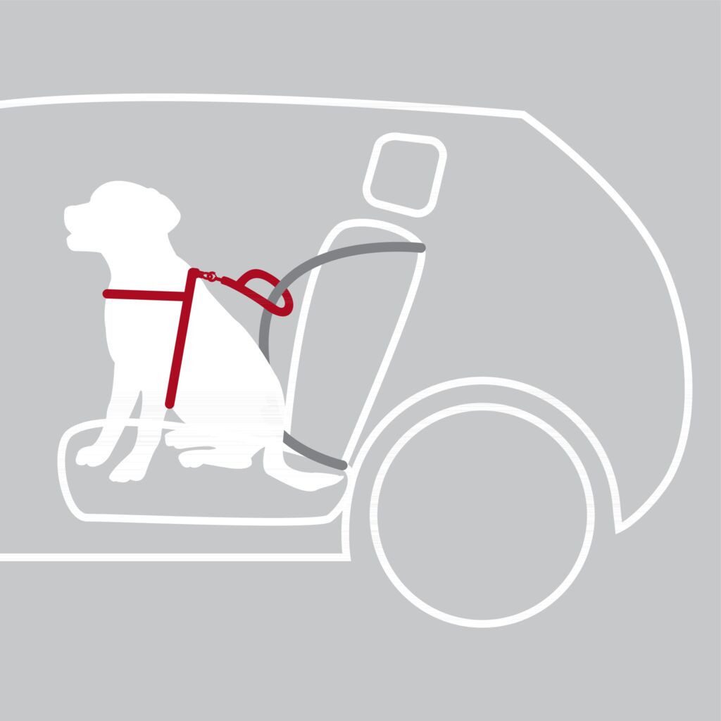 TRIXIE Autohundegeschirr Hundeautogeschirr Comfort zur Sicherung auf Brusthöhe, mit Polsterung, Nylon