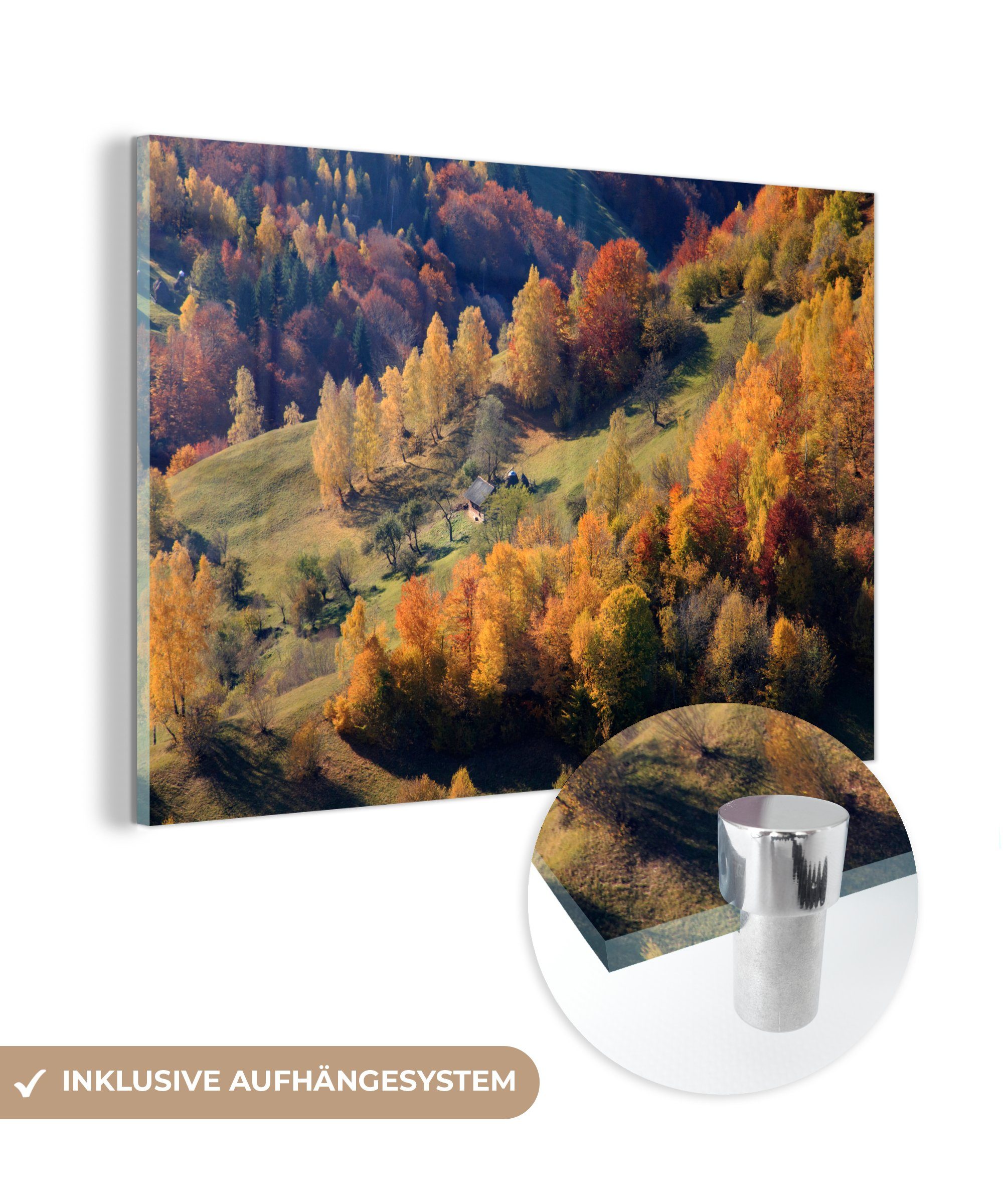 MuchoWow Acrylglasbild Herbstlich gefärbte Bäume im Nationalpark Piatra Craiului in Rumänien, (1 St), Acrylglasbilder Wohnzimmer & Schlafzimmer