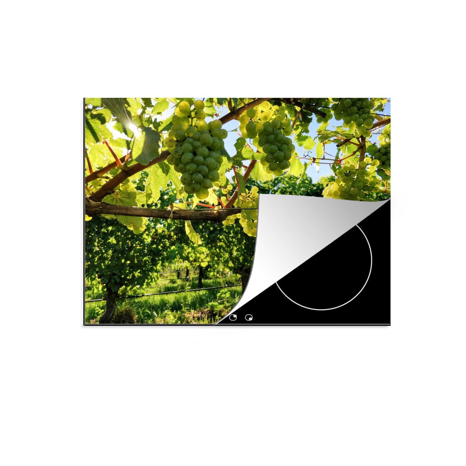 MuchoWow Herdblende-/Abdeckplatte Anzahl der Weintrauben in einem Weinberg, Vinyl, (1 tlg), 70x52 cm, Mobile Arbeitsfläche nutzbar, Ceranfeldabdeckung | Herdabdeckplatten