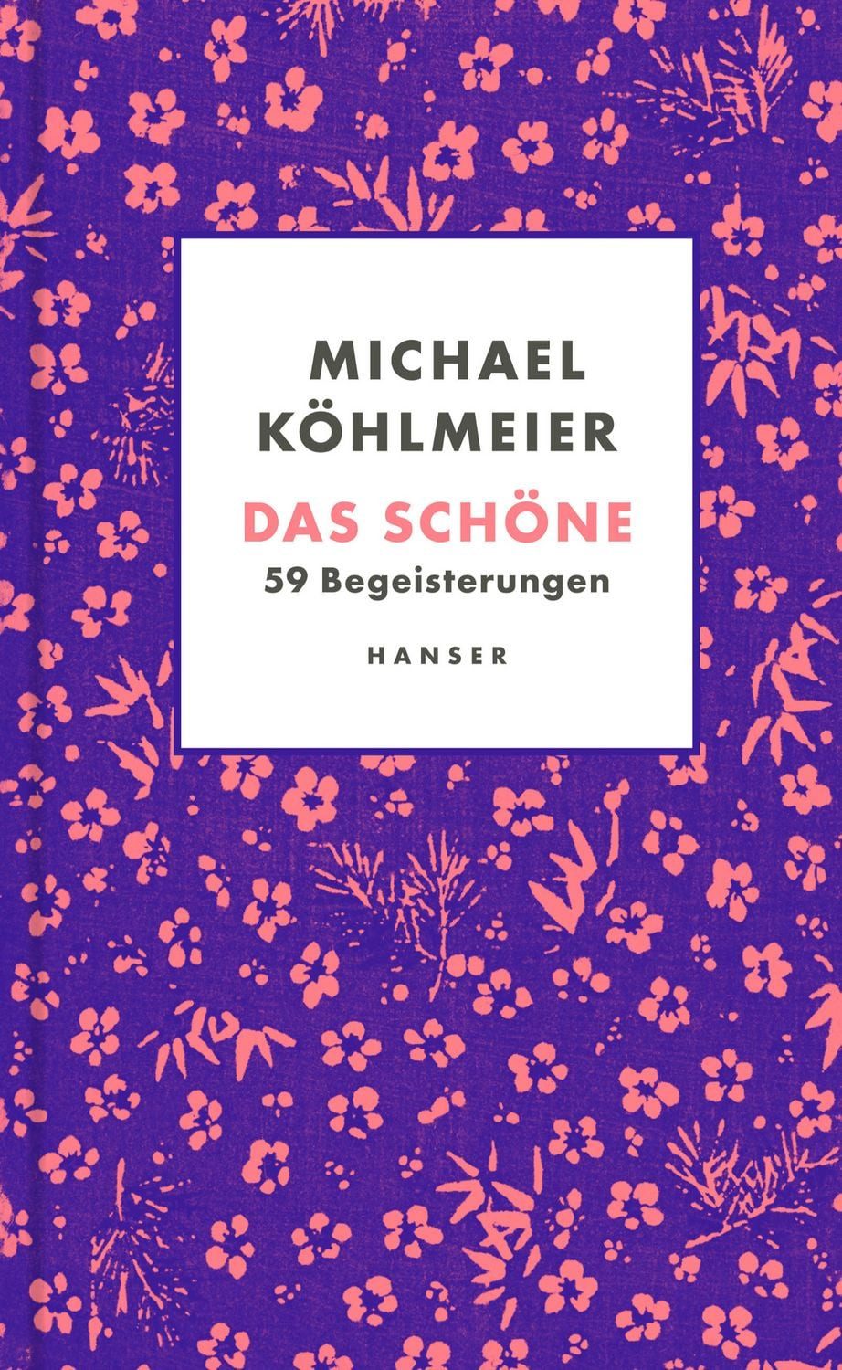 Das Schöne / Michael Köhlmeier, 59 Begeisterungen