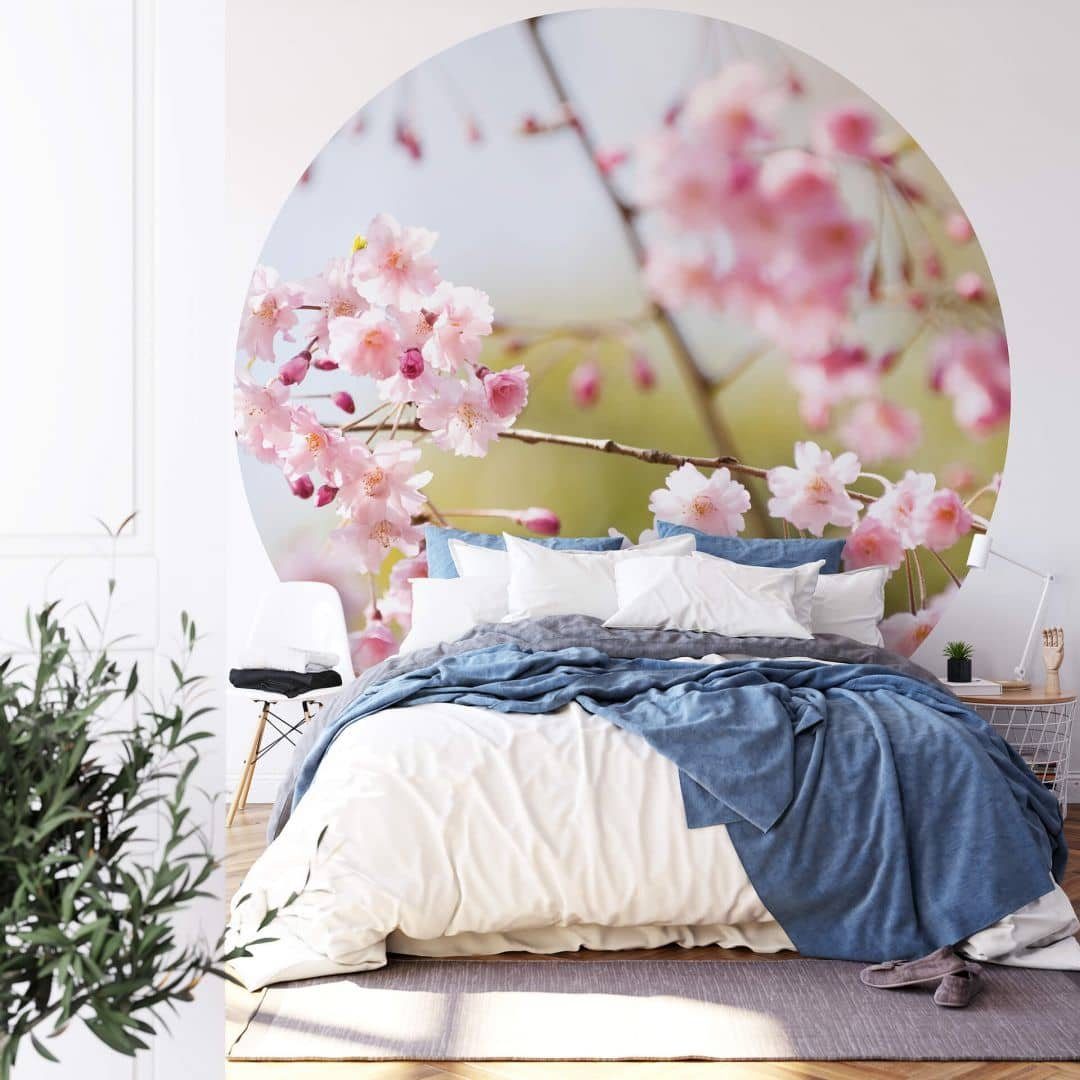 K&L Wall Art Fototapete Fototapete Kirschbaum Blüte Rosa Vliestapete Rund Schlafzimmer Tapete, Kirschblüten Tapete