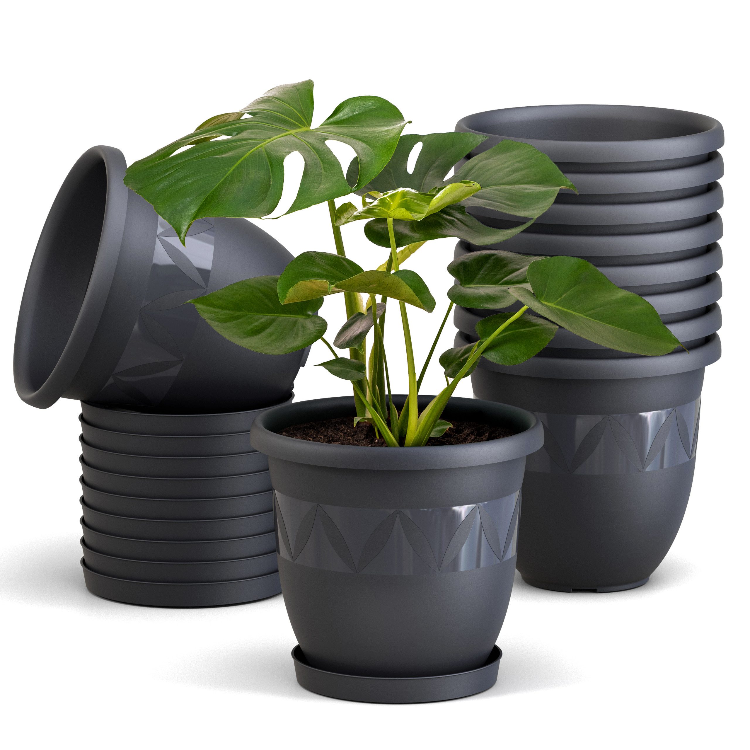 Plastard Pflanzkübel 3er, 5er, 10er Sets, günstig online kaufen