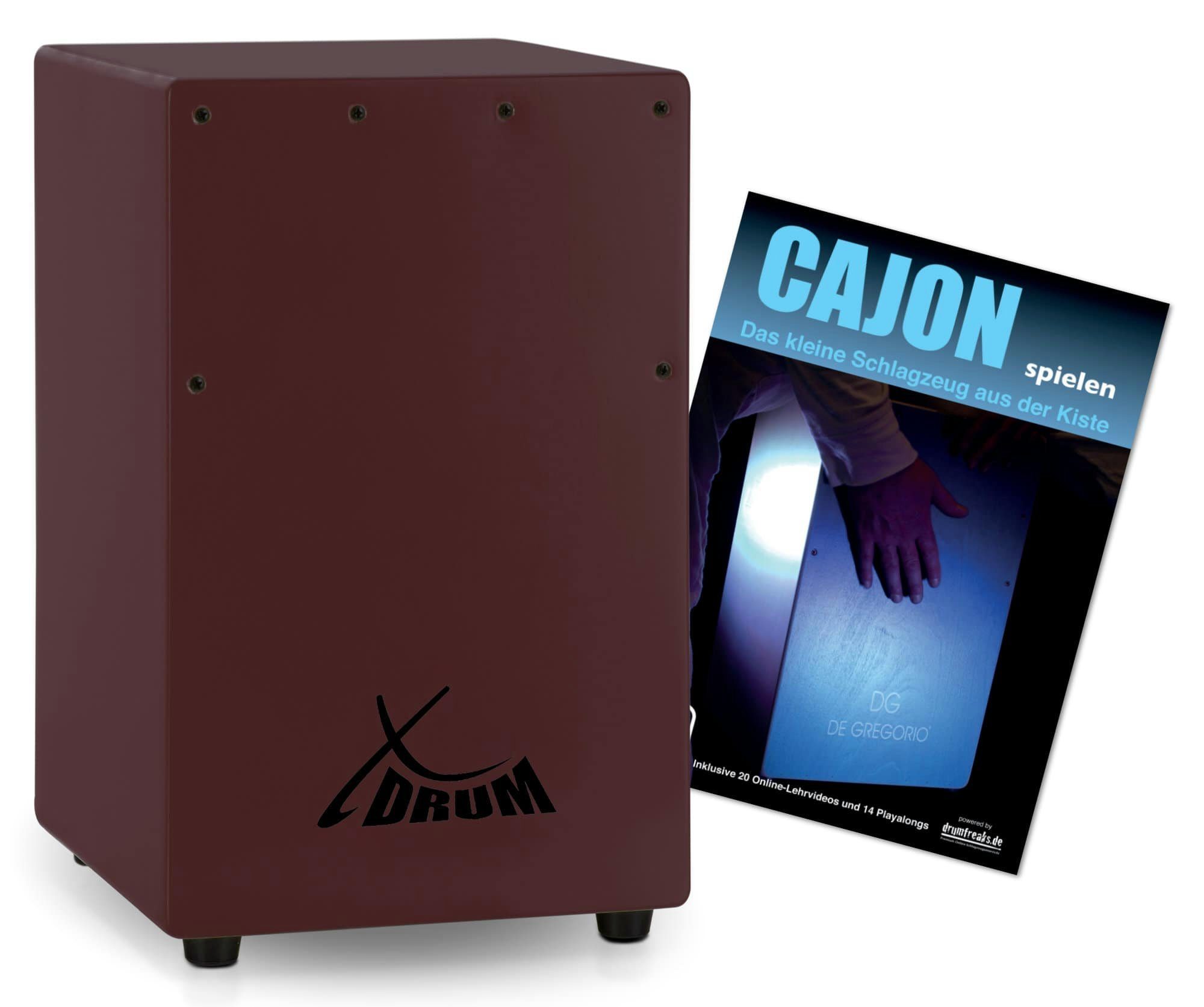 XDrum Cajon KC-37 Kinder-Cajon & Schule Set,Snare-Effekt durch stimmbare Gitarrensaiten, Inkl. Innensechskantschlüssel, Kleine Cajon speziell für Kinder - Nur 36 cm hoch