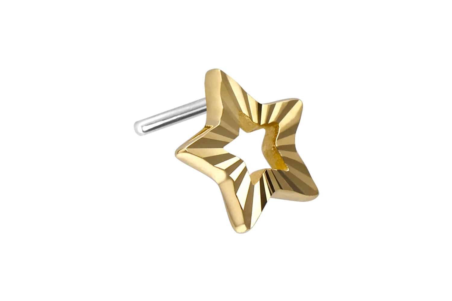 Piercing-Set 14 Karat Gold Aufsatz mit Titan Push Pin STERN