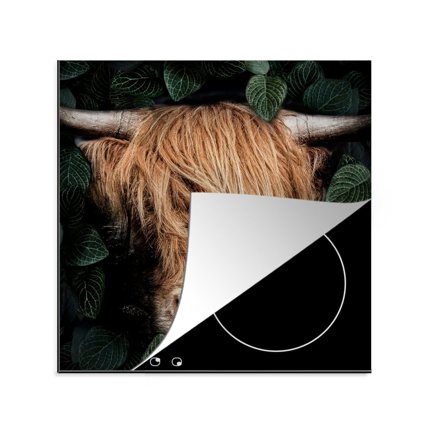 MuchoWow Herdblende-/Abdeckplatte Schottischer Hochländer - Blättrig - Kuh, Vinyl, (1 tlg), 78x78 cm, Ceranfeldabdeckung, Arbeitsplatte für küche