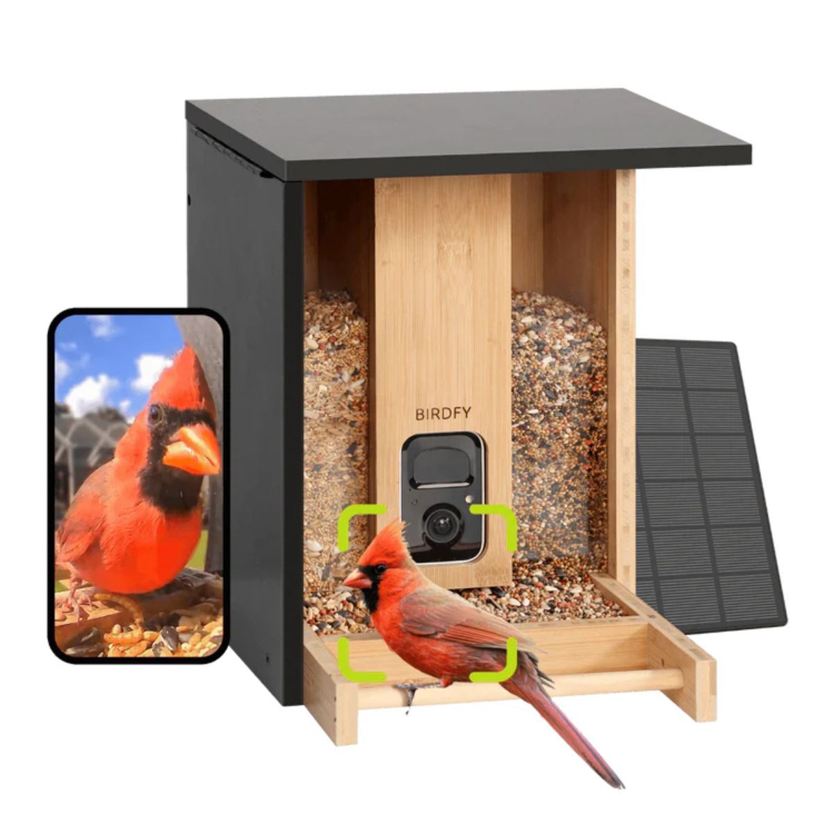Birdfy Vogelhaus Bamboo, Bambus, mit KI-Kamera, Solar